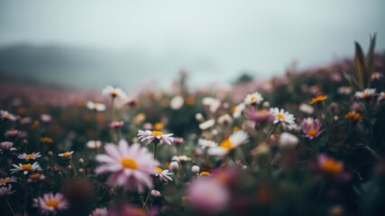 A serene field of colorful flowers blooms under a misty sky, creating a tranquil atmosphere filled with nature's beauty.