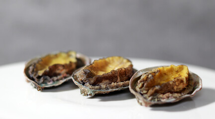 Abalone on a white plate. Fresh seafood steamed dish.
