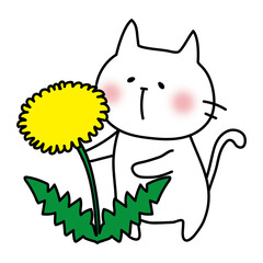 大きなタンポポと白い猫