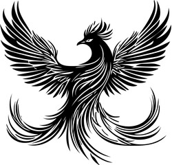 Obraz premium Black and white theme phoenix bird illustration