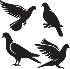 set of pigeon sitting poses 