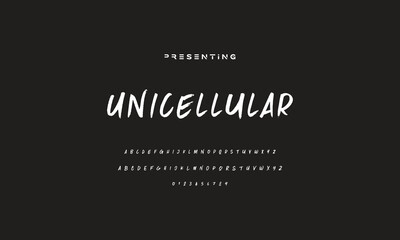 Stylish painted by a brush uppercase vector letters