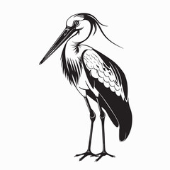Marabou stork image vector. Natural Marabou Stork Stock Illustration on white background.