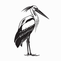 Marabou stork image vector. Natural Marabou Stork Stock Illustration on white background.