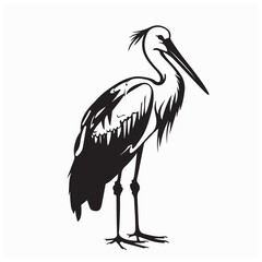 Marabou stork bird image vector Illustration on white background.