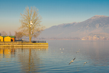 Calm and reflective waters. A flock of birds is flying over the lake, adding to the peaceful atmosphere.