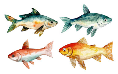 Vibrant fish art depicting aquatic life, cut out - stock png.