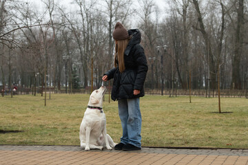 A woman in a black coat and brown hat interacts with a white dog in a park. The grass is green, but the trees are bare, showcasing a cold, wintry environment