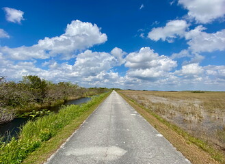 Scenic bike path through the Florida Everglades