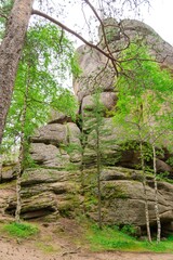 Giant rocks with moss and rocks in the forest