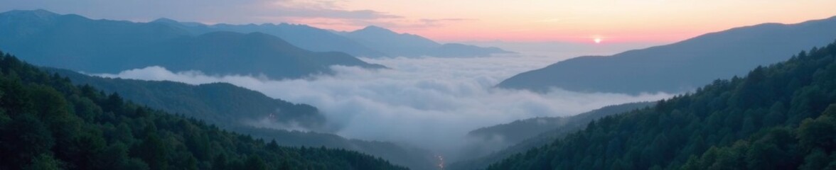Dense fog envelops a misty Carpathian valley at dawn, valleys, serenity, mountainscape