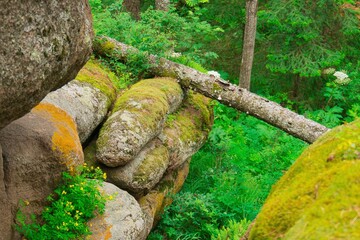 Giant rocks with moss and rocks in the forest