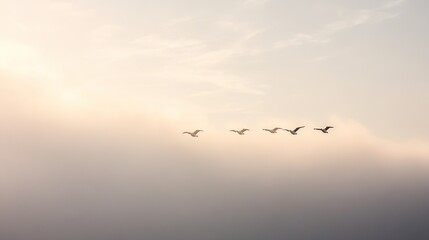 Flying birds gracefully glide through soft fog, creating serene