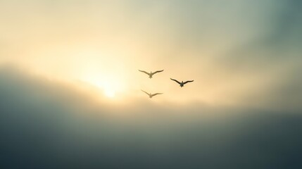 Birds soar gracefully through misty skies, illuminated by soft s