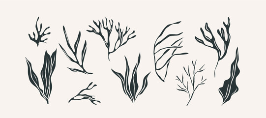 FLat vector doodle seaweed collection