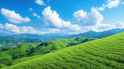 Obraz premium Serene Green Hills Under Bright Blue Sky with Fluffy White Clouds