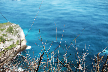 Arial view of dry twig with wave crashing rocky cliff at the blue sea and destination travel summer ocean in Bali island at Indonesia