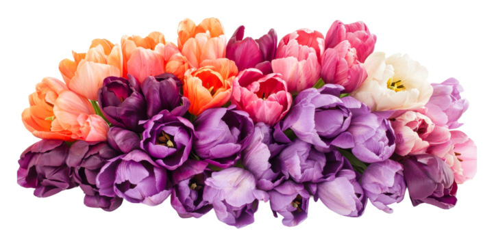 Colorful tulip arrangement in vibrant display, cut out - stock png.