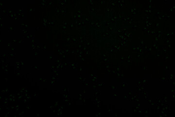 Particles, soil, dust, sand, overlay, texture, material