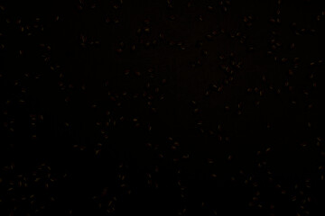 Particles, soil, dust, sand, overlay, texture, material