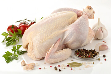 Whole fresh chicken on a white background