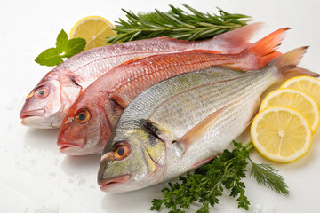 Whole fresh fish on a white background