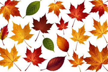 Fototapeta premium Vibrant Autumn Leaves Assortment, Realistic Vector Graphic, Ideal for Seasonal Designs and Fall Themed Backgrounds