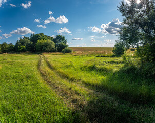 Obraz premium Summer landscape
