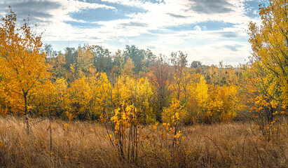 Fototapeta premium Autumn landscape on river