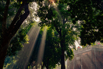 Obraz premium Sunlight Filtering Through Trees at Cửa Bắc Gate, Hanoi