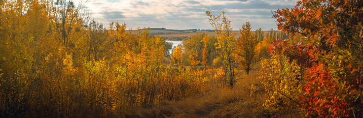 Fototapeta premium Autumn landscape on river