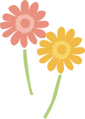 ガーベラの花2本のイラスト