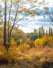 Autumn landscape on river