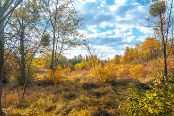 Autumn landscape on river