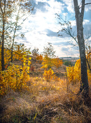 Fototapeta premium Autumn landscape on river