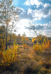 Fototapeta premium Autumn landscape on river