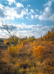 Fototapeta premium Autumn landscape on river
