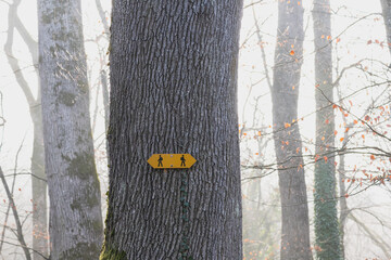 signalisation randonnée pédestre fléchée 