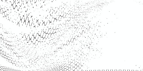 Black snake skin pattern isolated on white background eps 10