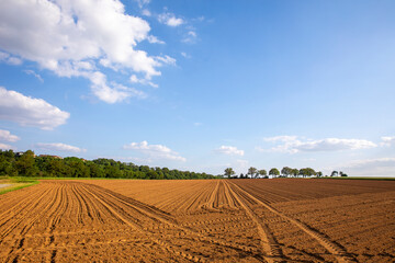 Paysage de campagne au printemps sous le ciel bleu avant les semences.