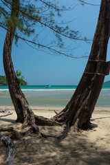 Koh Phra Thong is located in Kura Buri, Phang Nga. It covers an area of ​​102 sq. km.,the largest island in Phang Nga Province. It has a wide beach, beautiful sea with gentle waves, and savannah field © Rungsilp