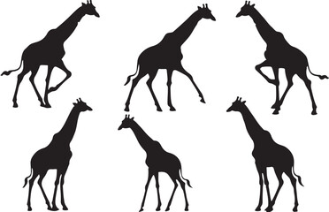 Naklejka premium Giraffe silhouettes
