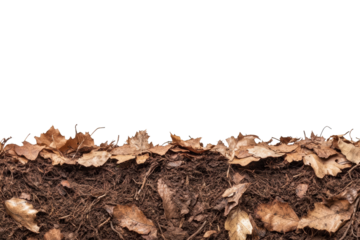 Close-up of soil layer with dried leaves on top. The earthy textures showcase nature's cycle of decay and transformation, vital for ecosystem health.