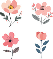 Floral Illustrations