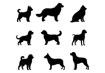 Set of dog silhouettes featuring various breeds in standing and sitting positions. Black vector illustrations on a white background.