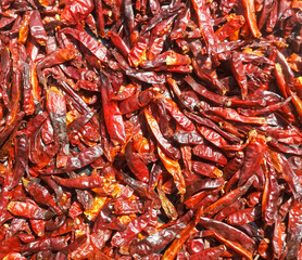 Red chili peppers