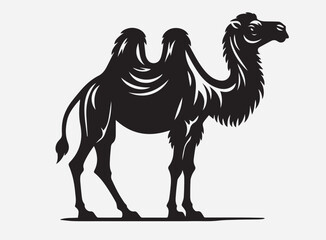 High Quality Arabian Camel Silhouette Vector for Design Projects