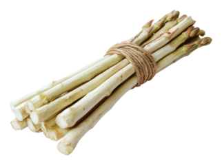 PNG Fresh bundle of white asparagus ready for cooking