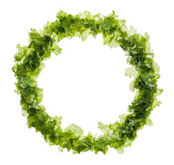 PNG Green decorative wreath for various occasions