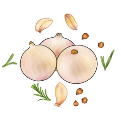 Garlic white onion pattern watercolor illustration on white background